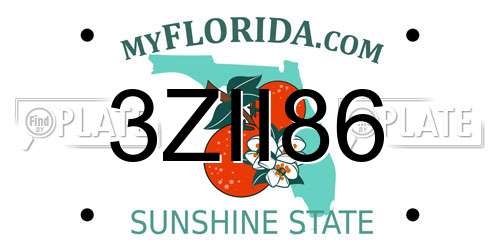 3ZII86 Florida License Plate