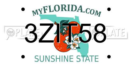 3ZIT58 Florida License Plate