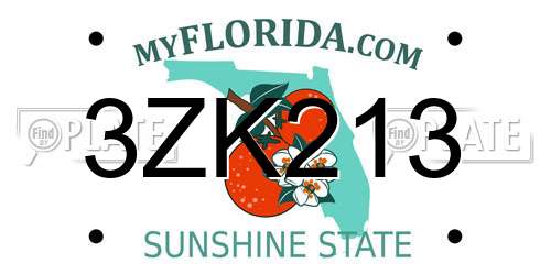 3ZK213 Florida License Plate
