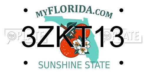 3ZKT13 Florida License Plate