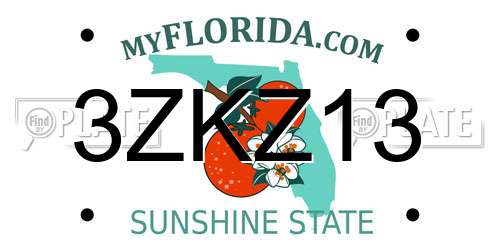 3ZKZ13 Florida License Plate
