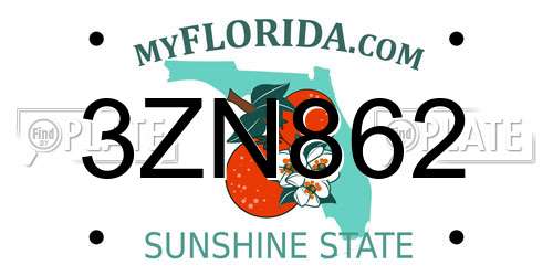 3ZN862 Florida License Plate