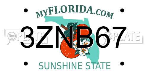 3ZNB67 Florida License Plate