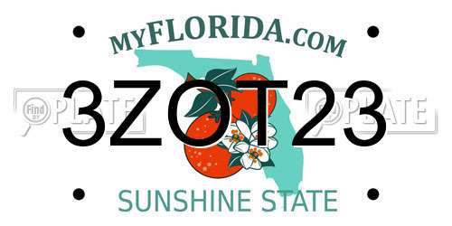 3ZOT23 Florida License Plate