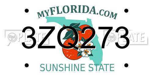 3ZQ273 Florida License Plate