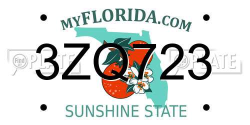 3ZQ723 Florida License Plate