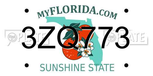 3ZQ773 Florida License Plate