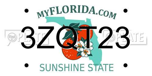 3ZQT23 Florida License Plate