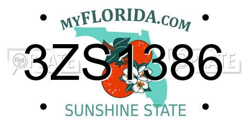 3ZS1386 Florida License Plate