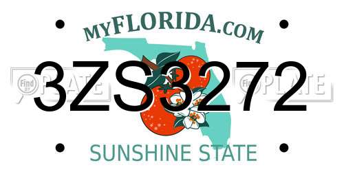 3ZS3272 Florida License Plate