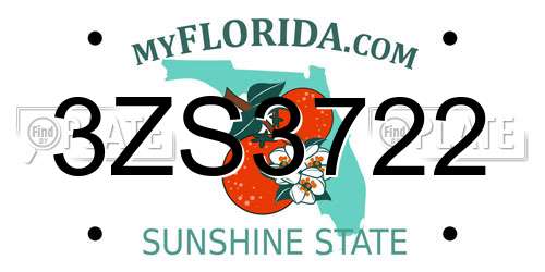 3ZS3722 Florida License Plate