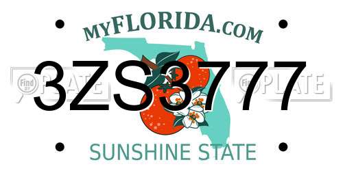 3ZS3777 Florida License Plate