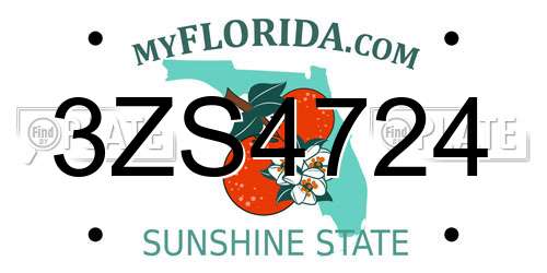 3ZS4724 Florida License Plate