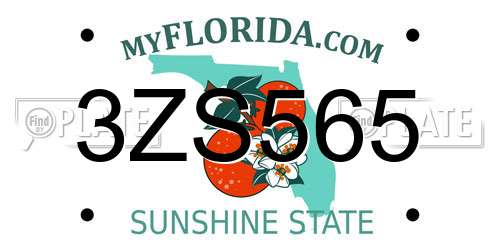 3ZS565 Florida License Plate