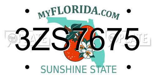 3ZS7675 Florida License Plate