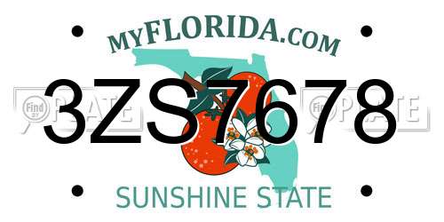 3ZS7678 Florida License Plate