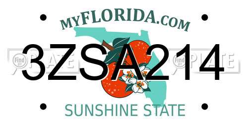 3ZSA214 Florida License Plate