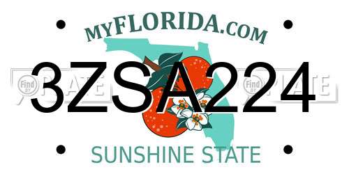 3ZSA224 Florida License Plate