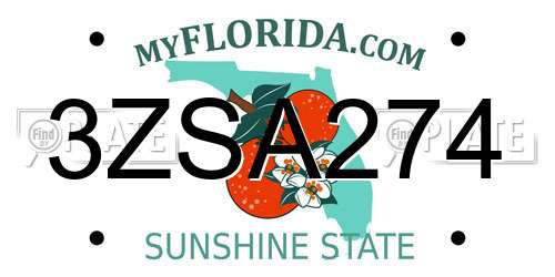 3ZSA274 Florida License Plate