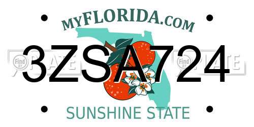 3ZSA724 Florida License Plate