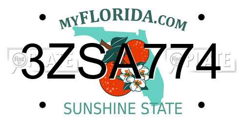 3ZSA774 Florida License Plate