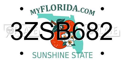 3ZSB682 Florida License Plate