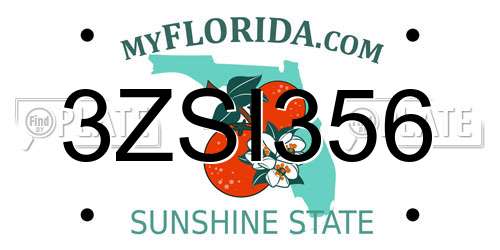 3ZSI356 Florida License Plate