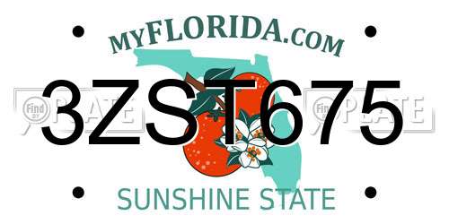 3ZST675 Florida License Plate