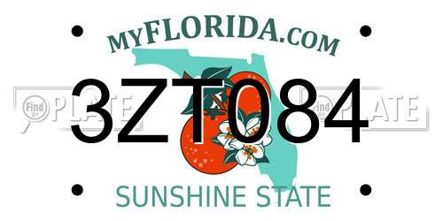 3ZT084 Florida License Plate