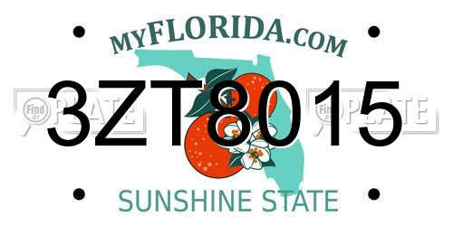 3ZT8015 Florida License Plate