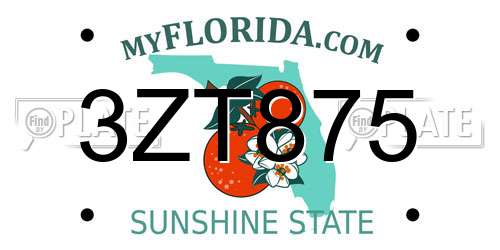 3ZT875 Florida License Plate
