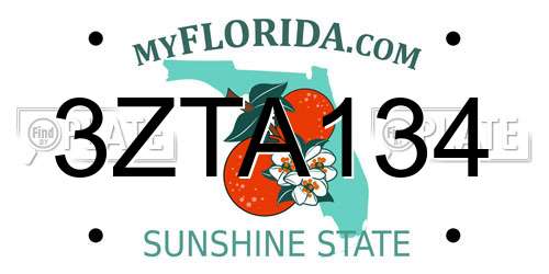 3ZTA134 Florida License Plate