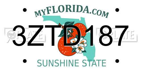 3ZTD187 Florida License Plate