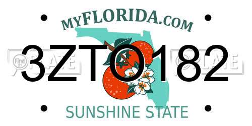 3ZTO182 Florida License Plate