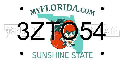 3ZTO54 Florida License Plate