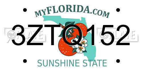 3ZTQ152 Florida License Plate