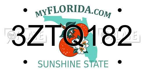 3ZTQ182 Florida License Plate