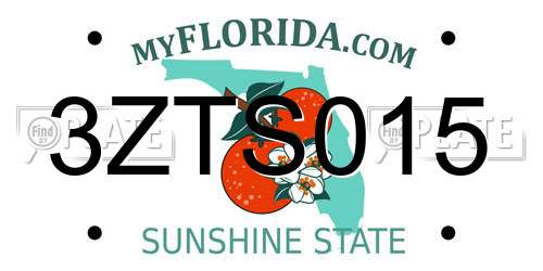 3ZTS015 Florida License Plate