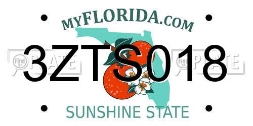 3ZTS018 Florida License Plate
