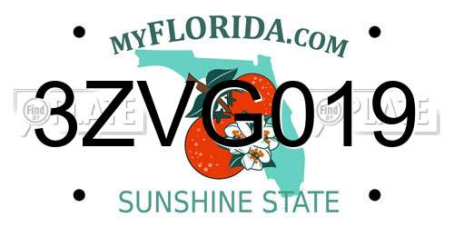 3ZVG019 Florida License Plate