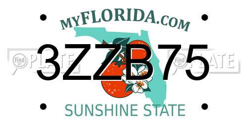 3ZZB75 Florida License Plate