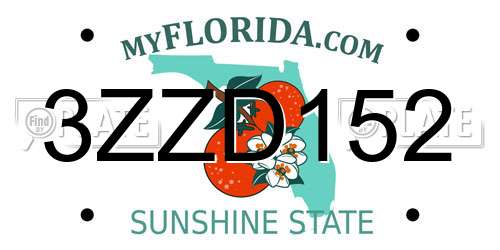3ZZD152 Florida License Plate