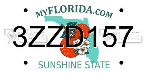 3ZZD157 Florida License Plate