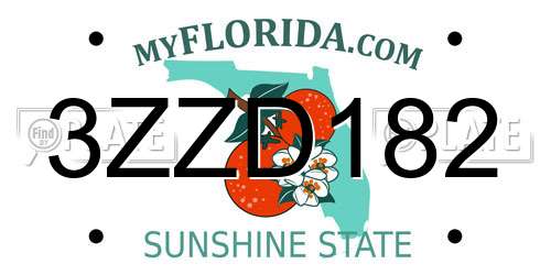 3ZZD182 Florida License Plate
