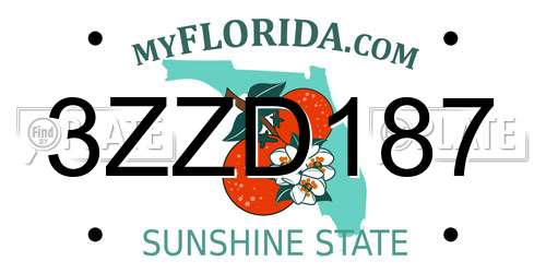 3ZZD187 Florida License Plate