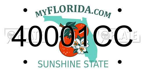40001CC Florida License Plate