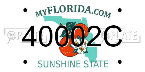 40002C Florida License Plate