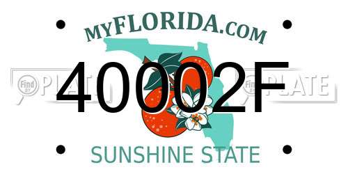 40002F Florida License Plate
