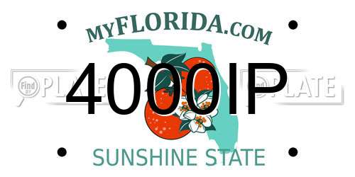 4000IP Florida License Plate