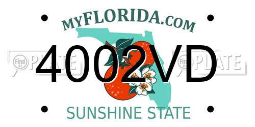 4002VD Florida License Plate